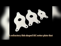plaque à haute température Sic setter